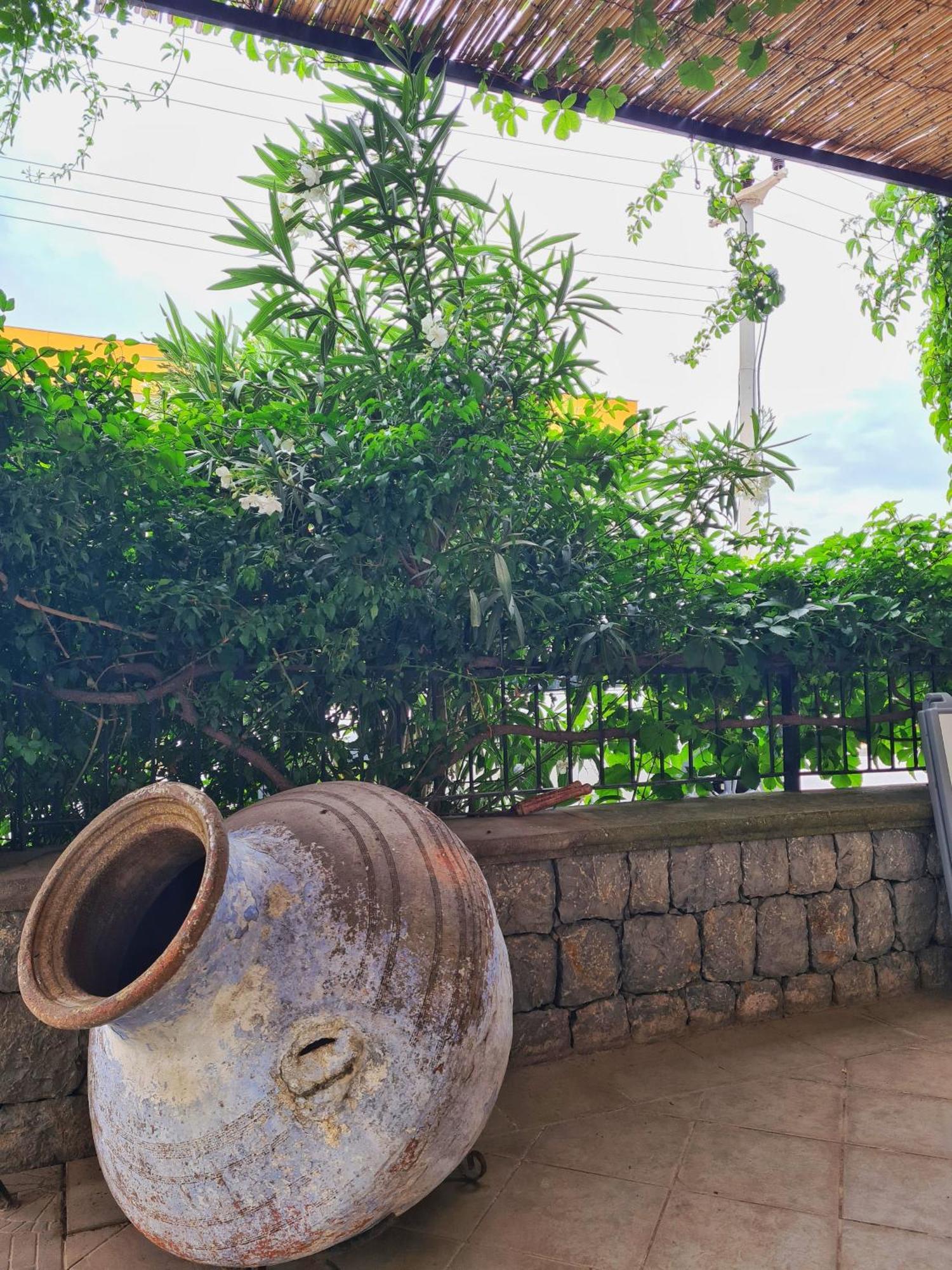 Fora Apart Otel Cesme Exterior foto